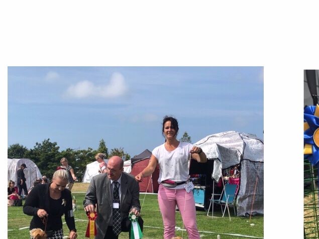 Excellent CK BIM og svensk championat
